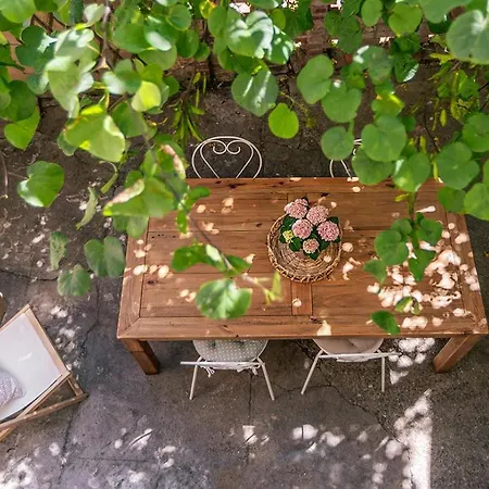 La Terrasse Catalane *